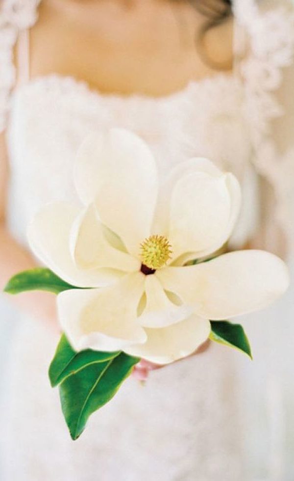 bouquet Glamelia con magnolia